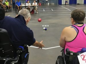 Boccia Ball Toss